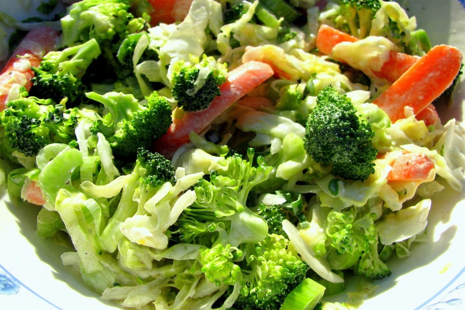 Ensalada de pollo con verduras variadas (Brocoli, zanahoria, etc)